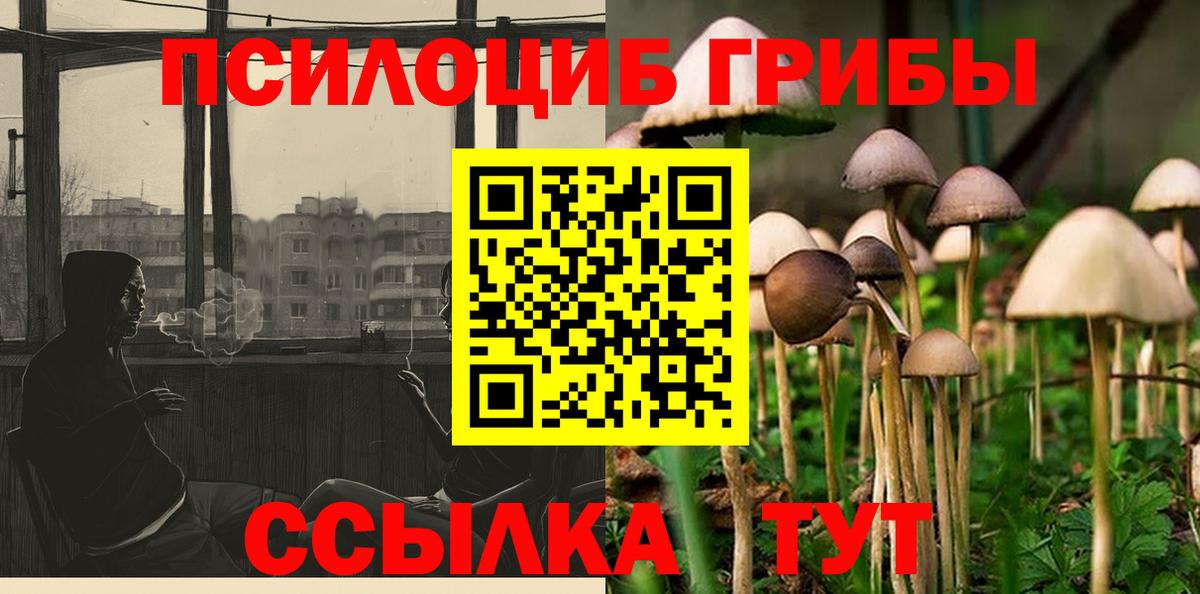 Псилоцибиновые грибы прущие грибы  купить  сайты  Мирный  Вход с VPN 