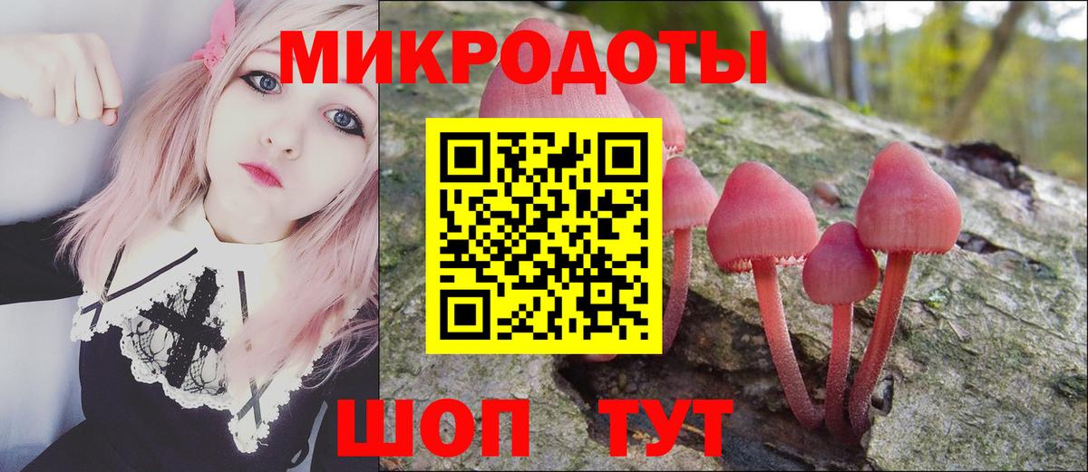 Галлюциногенные грибы Psilocybine cubensis Мирный